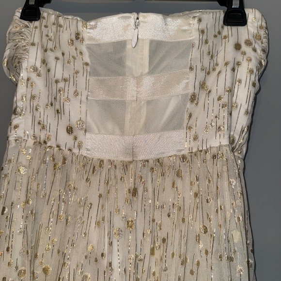 EUC Erin Fetherston Coralie Foiled Silk Chiffon Gown Ivory Gold Size 6 - Picture 9 of 11